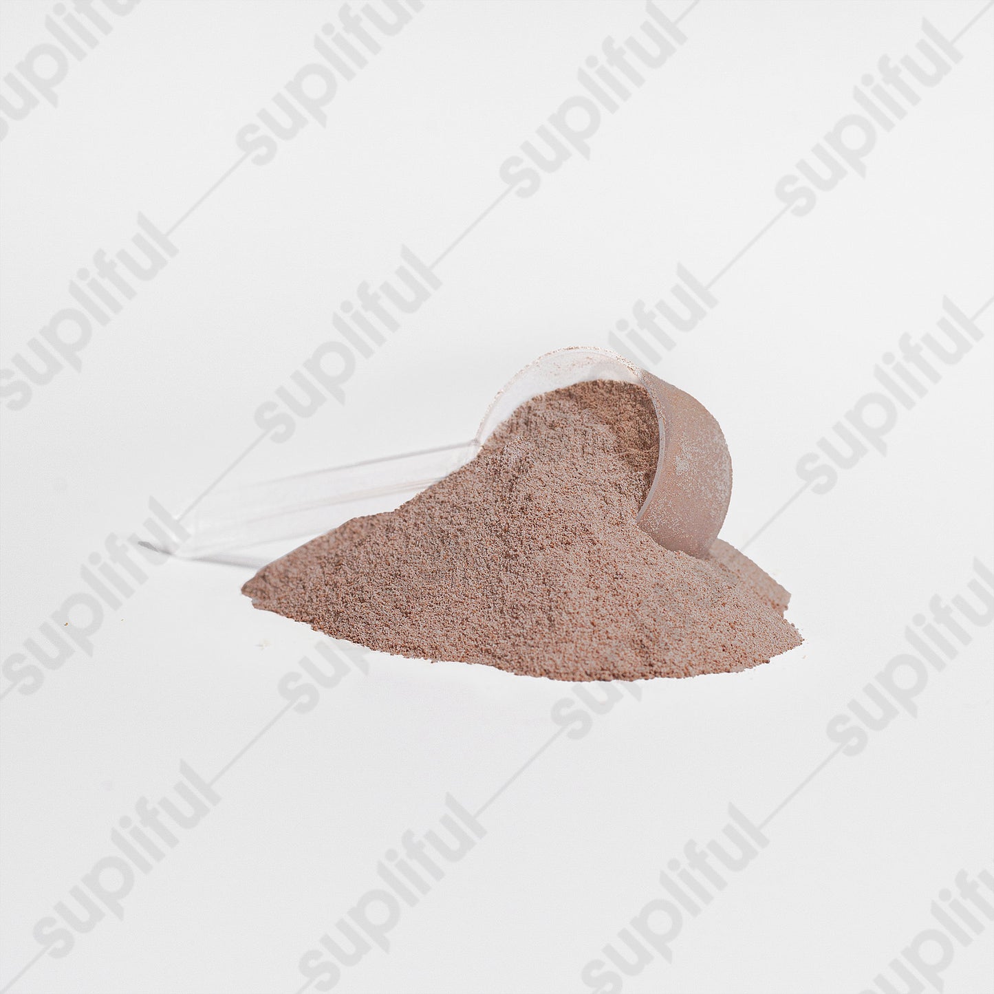 ELEVATED WHEY PROTEIN ISOLATE (Chocolate)(FOH)